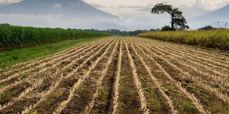 Farmland with mountains in the background