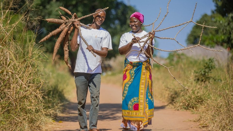 Farmers carry their harvest on a dirt path with large trees in the background