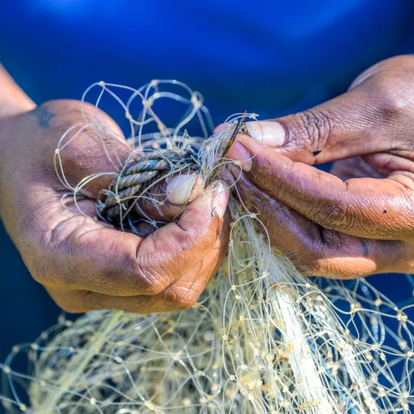 Person in a blue shirt holding a fishing net