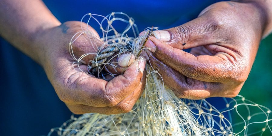 Person in a blue shirt holding a fishing net