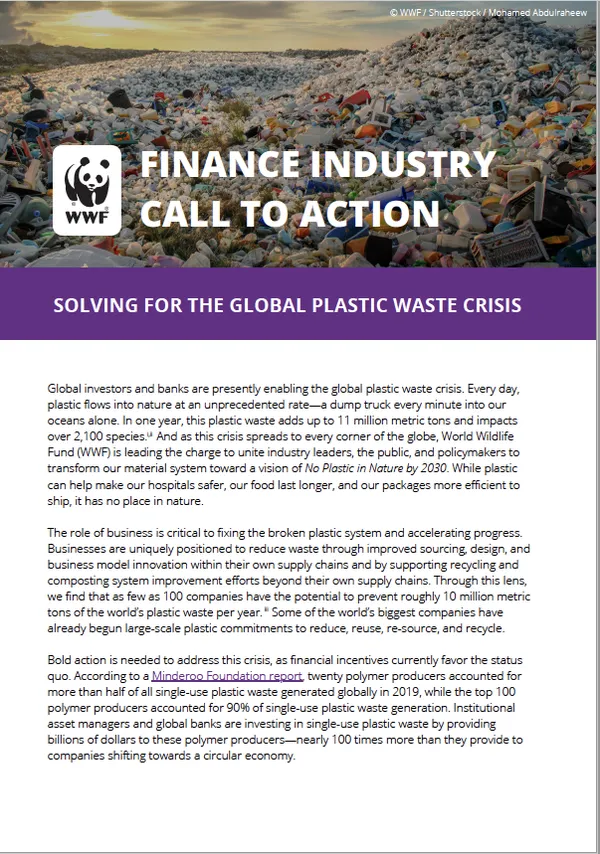 Cover to 'finance industry call to action' publication