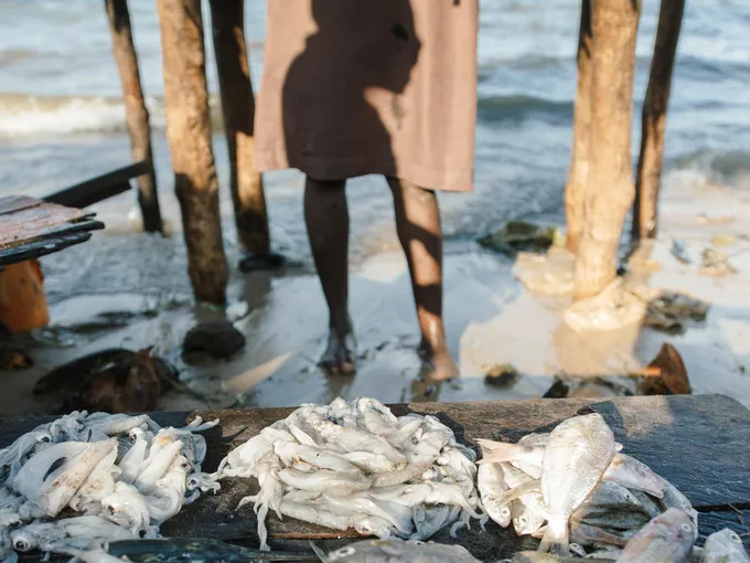 Barrels of fish displayed at market in Mozambique