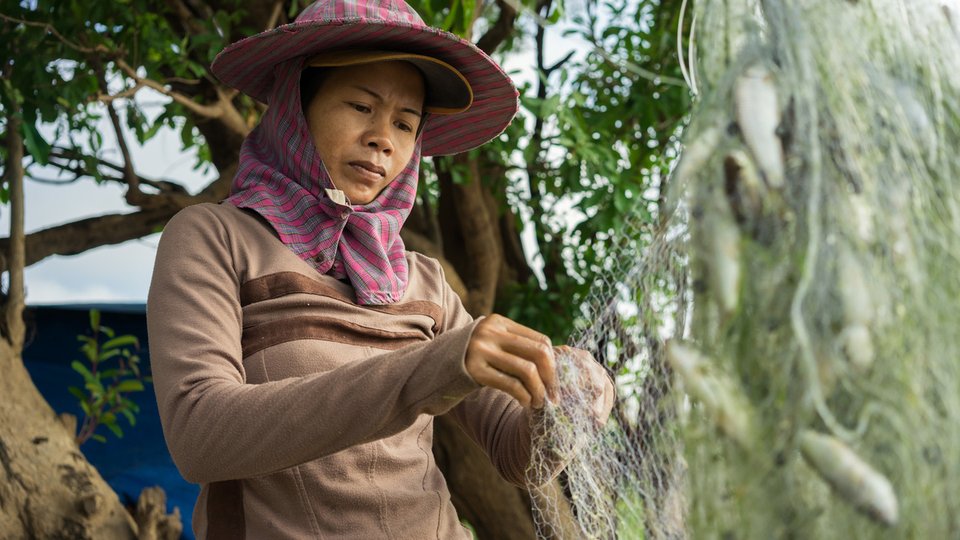 A fisher wearing a hat looks at her catch in a hanging net
