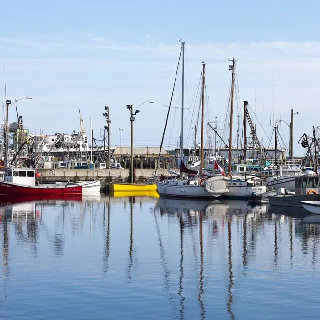 Fishing boats, Bay of Fundy, New Brunswick, Canada