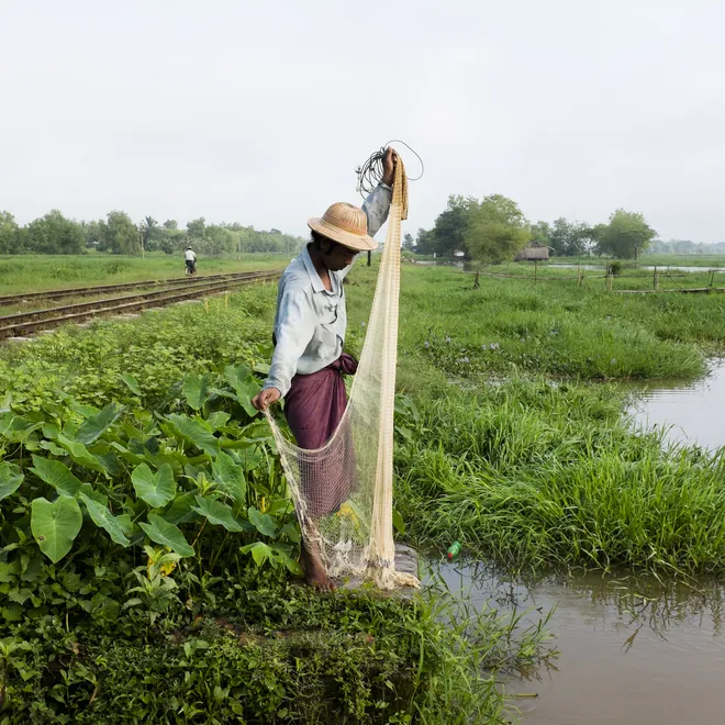 A fisher in Myanmar stands on the shore and holds up a fishing net