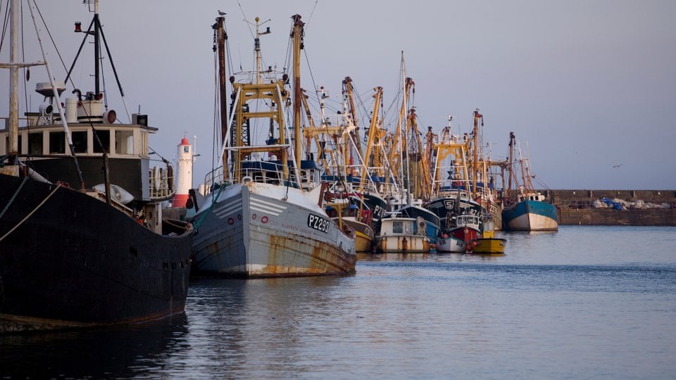 A line of fishing vessels docked near gray calm water.
