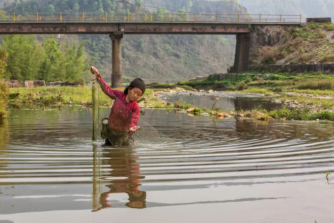 A woman fishes with a net in a river with a bridge in the background