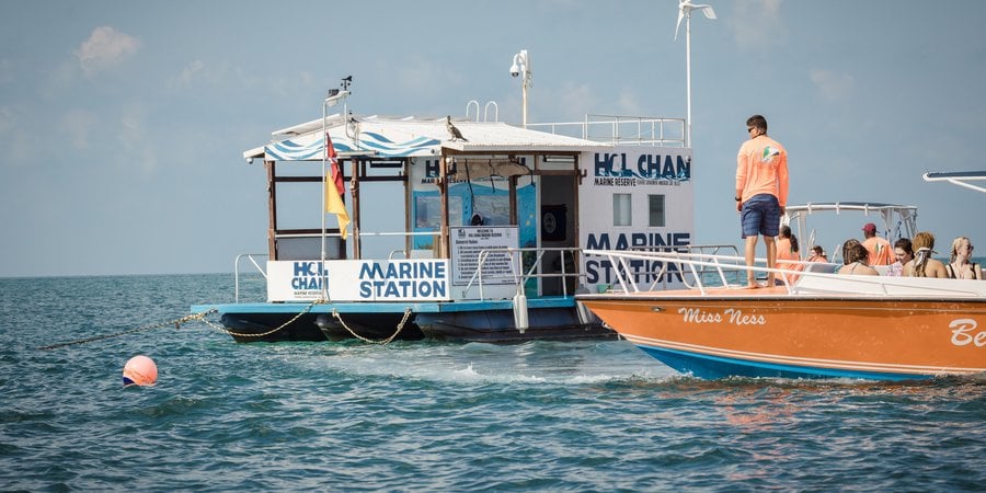 Hol Chan Marine Reserve: A Model for Ocean Protection | World Wildlife Fund