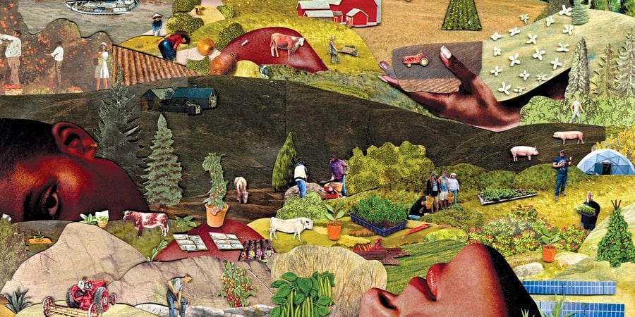 Illustration of food-related industry