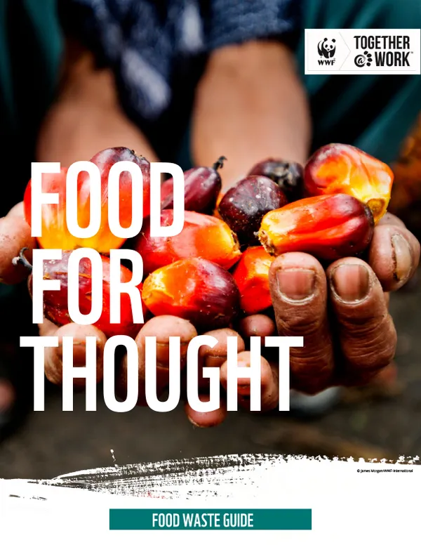 "Food for Thought" over photo of hands holding fruit
