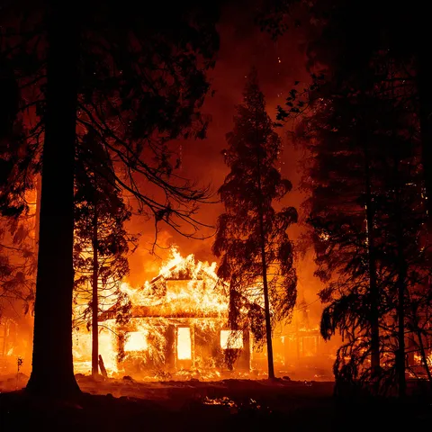 A house on fire in the center of a red burning forest.