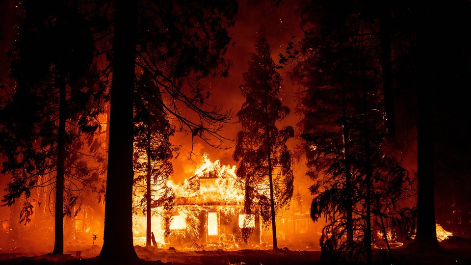 A house on fire in the center of a red burning forest.