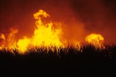 A photo showing a closeup view of a fire in red and orange hues with the silhouette of dark grass in the foreground.