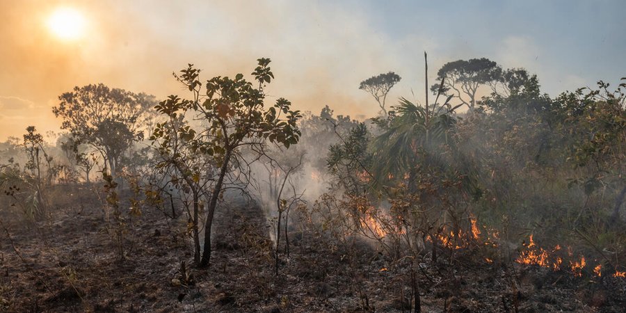 Forest fire in the Cerrado savannah biome on the Brasília National Park and surroundings, on June 2, 2021.