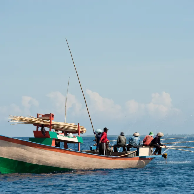 Funae fishermen travelling to find skipjack tuna to catch near Manado Tua using anchovies as live bait.