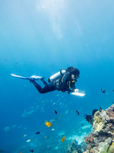 Gabby Ahmadia, senior marine scientist at WWF, surveys a reef in the Selat Dampier MPA, Raja Ampat, West Papua, Indonesia
