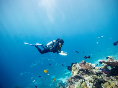 Reefs are surveyed in Raja Ampat, Indonesia