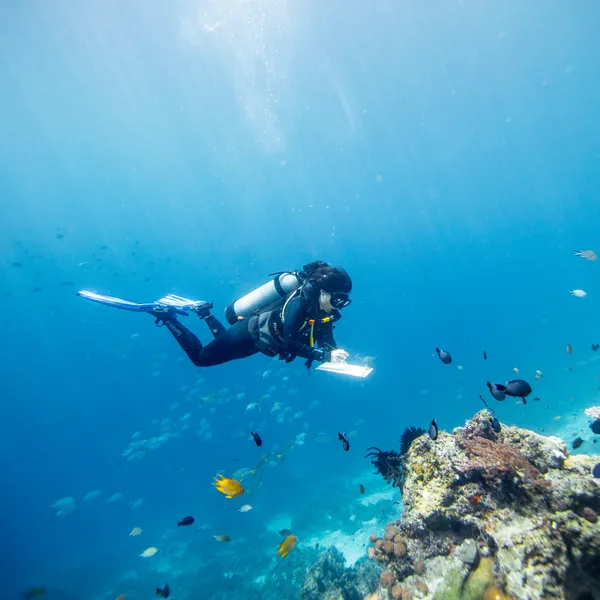 Gabby Ahmadia, senior marine scientist at WWF, surveys a reef in the Selat Dampier MPA, Raja Ampat, West Papua, Indonesia