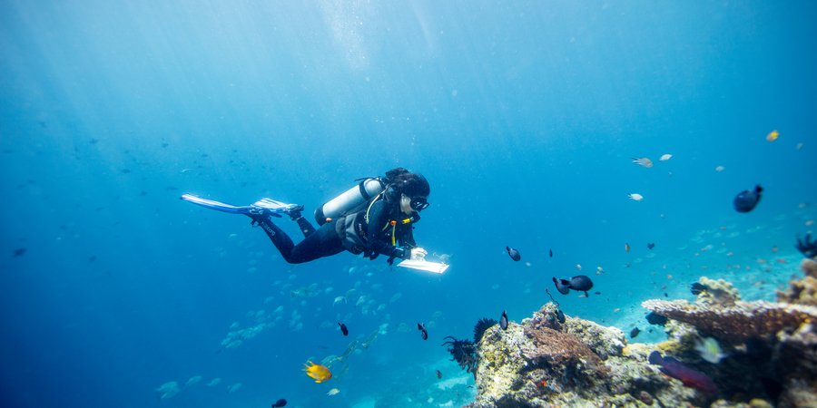 Gabby Ahmadia, senior marine scientist at WWF, surveys a reef in the Selat Dampier MPA, Raja Ampat, West Papua, Indonesia