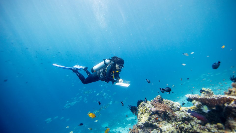 Gabby Ahmadia, senior marine scientist at WWF, surveys a reef in the Selat Dampier MPA, Raja Ampat, West Papua, Indonesia