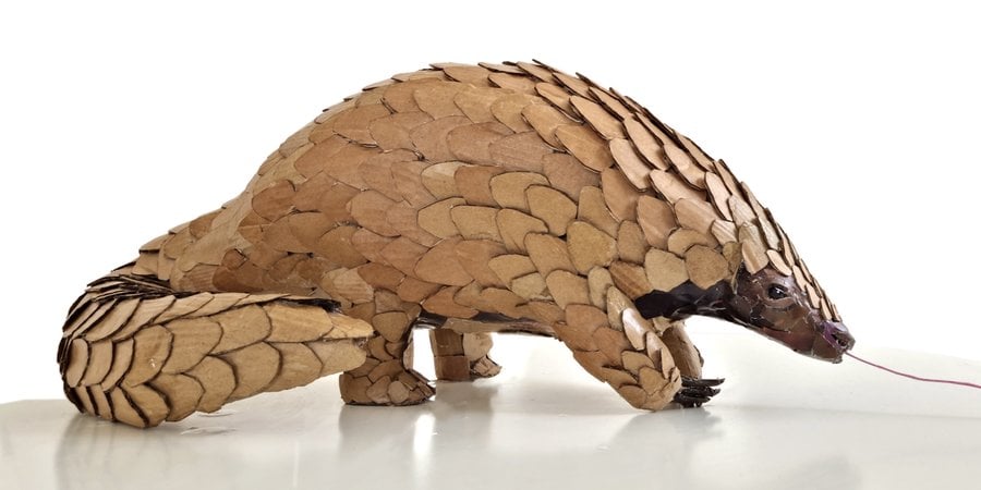 Cardboard and paper sculpture of pangolin