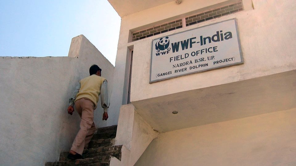 A person walking up the stairs of a tan concrete building with a sign that says "WWF-India Field Office"