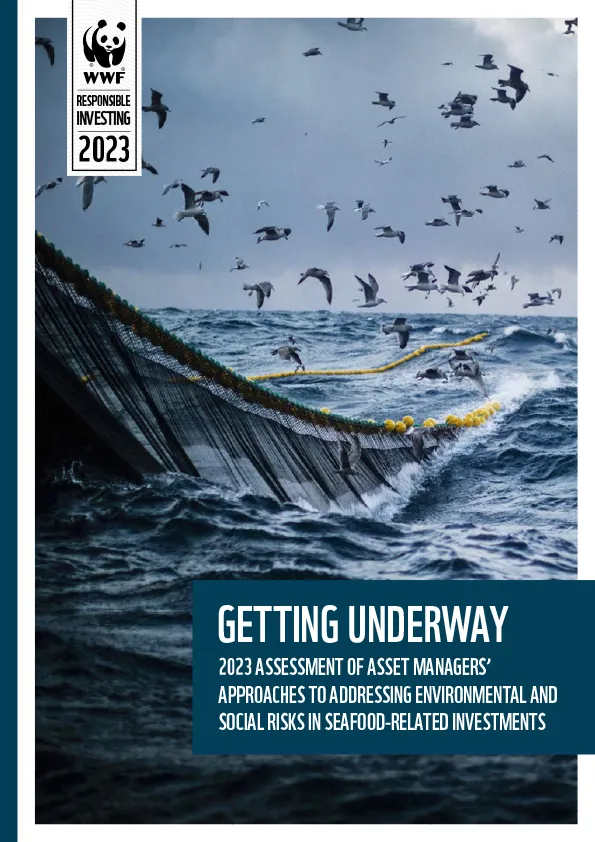 Report cover of ocean waves and sea birds