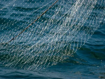 A gillnet partially pulled out of the ocean