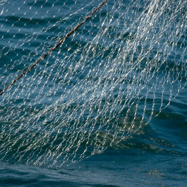 A gillnet partially pulled out of the ocean