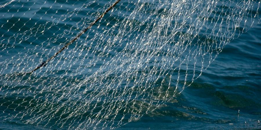 A gillnet partially pulled out of the ocean