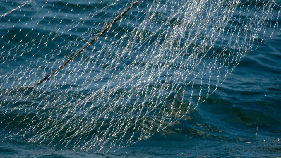 A gillnet partially pulled out of the ocean