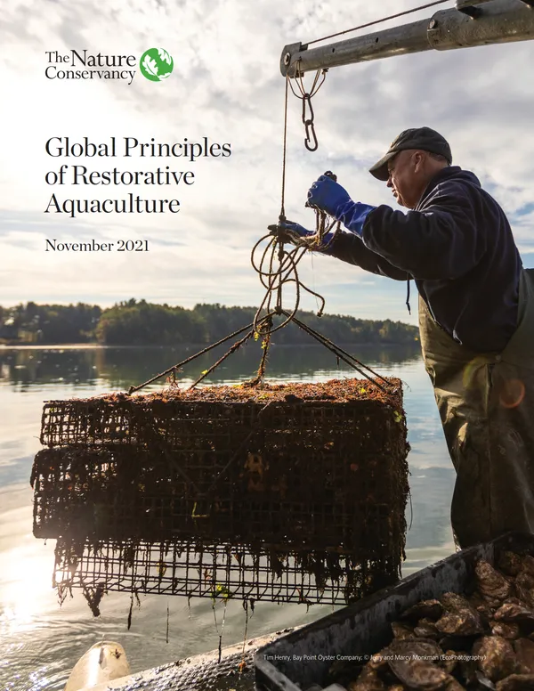 Cover image for report
