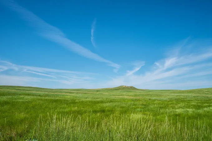 An expanse of grassland on a sunny day
