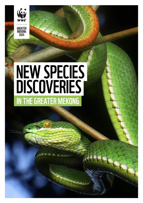 cover of Greater Mekong Species report with image of  green pit viper snake