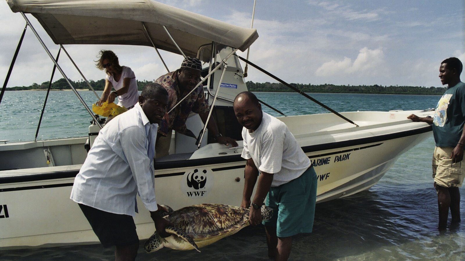 What Is Bycatch? | WWF