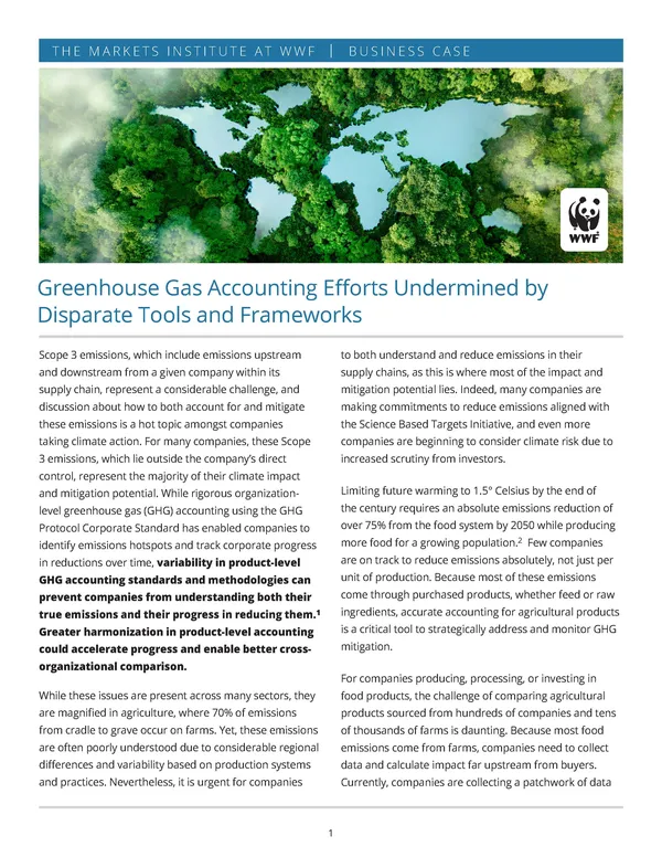 Cover image: Greenhouse Gas Accounting Efforts Undermined by Disparate Tools & Frameworks