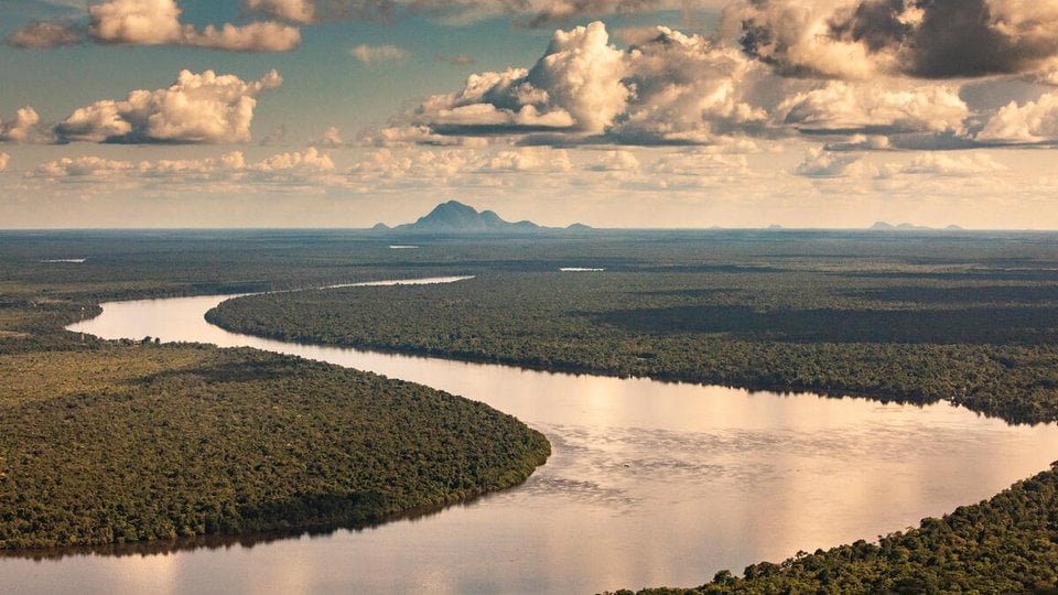 Aerial view of the Guainía river in the Colombian Amazon with pinkish clouds and lush forest