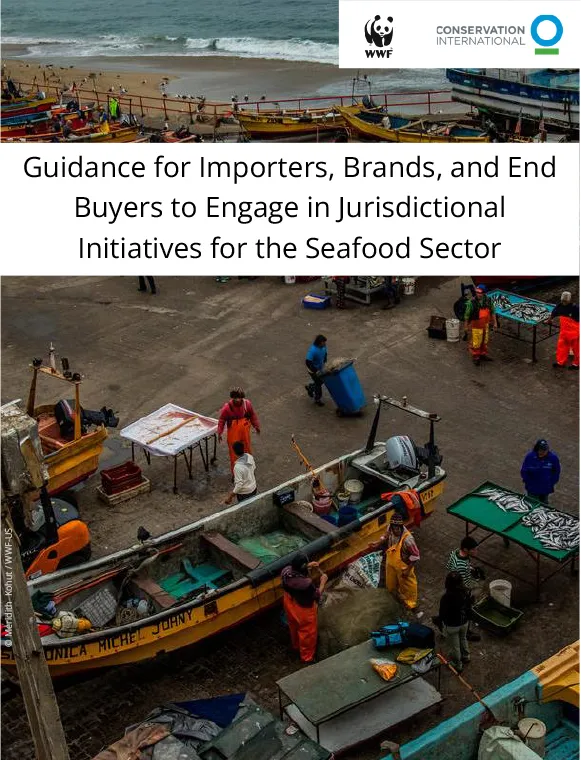 Report cover with photo of fishing port