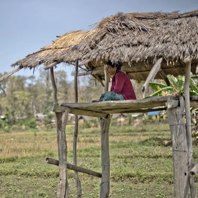 A person in brightly colored clothing sits on a raised platform looking out over the land on a sunny day