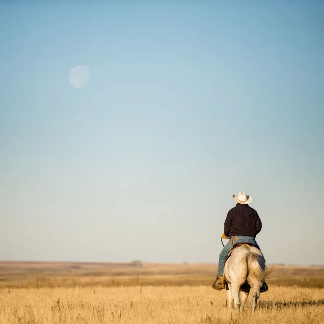 A man with a cowboy hat on a white horse facing away from the camera in a grassy landscape in the foreground and a blue sky with a dim moon