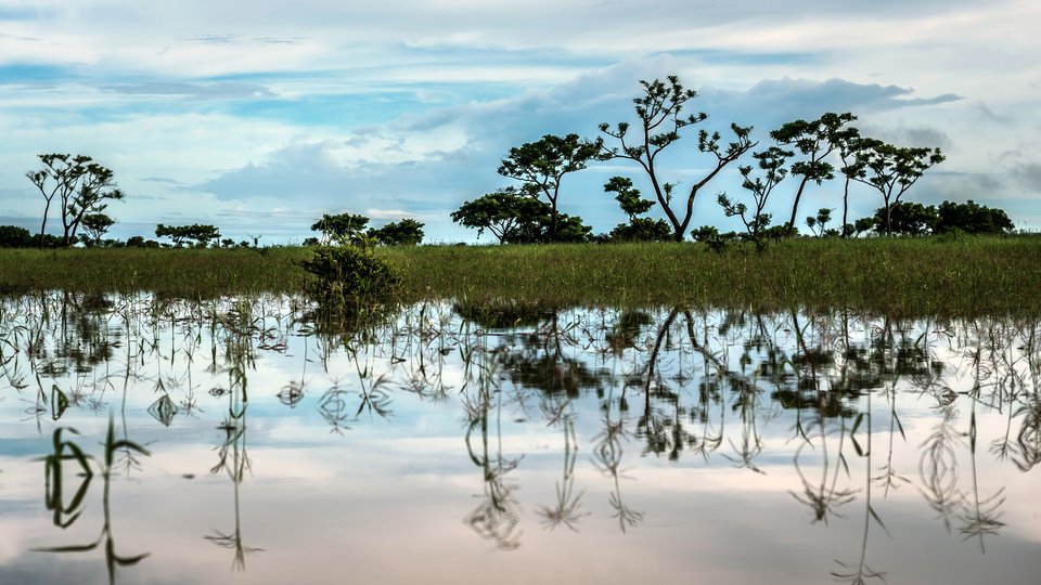 A landscape photo with trees on the shoreline reflecting on the river in front of it.