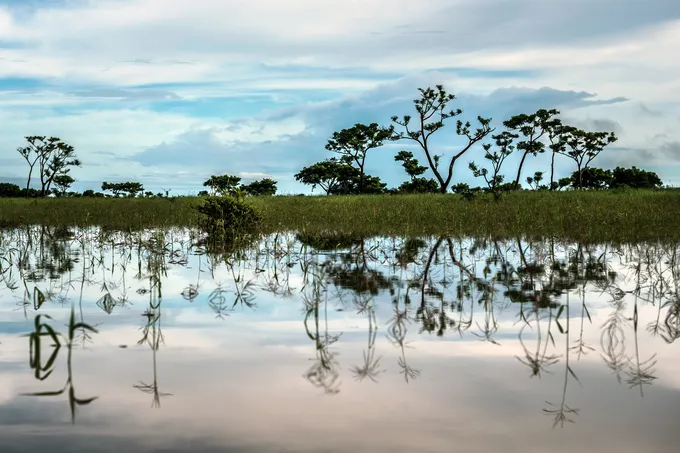 A landscape photo with trees on the shoreline reflecting on the river in front of it.