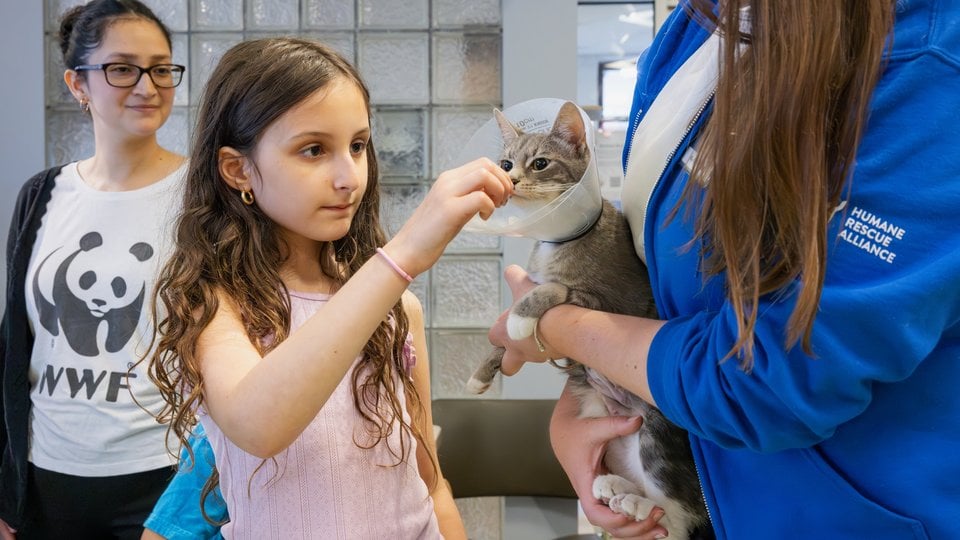 Shira feeds cat treats to a cat wearing a cone