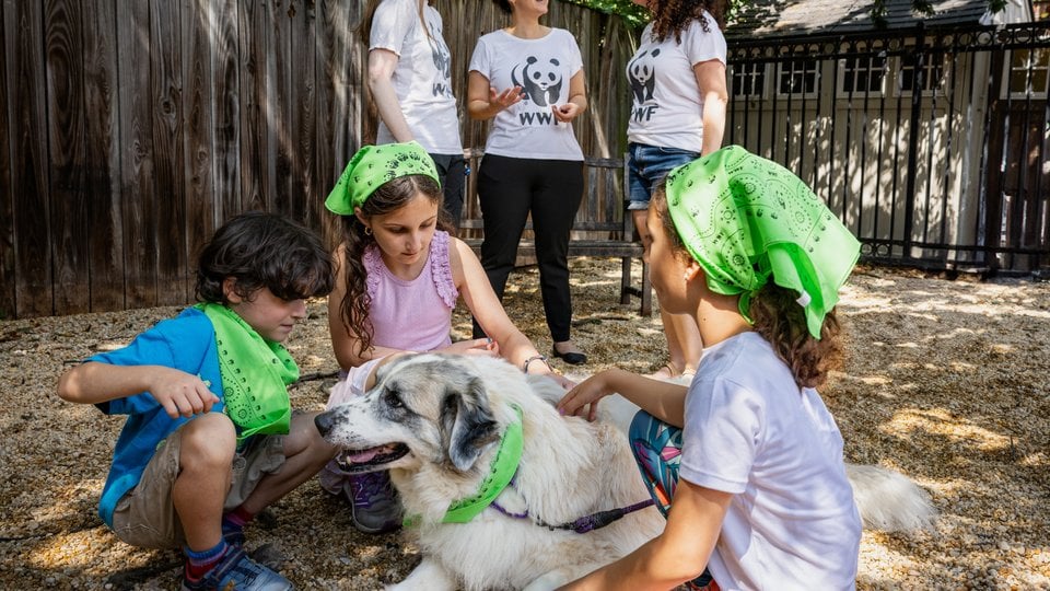 Asher and Shira play with Kokomo, a big fluffy dog