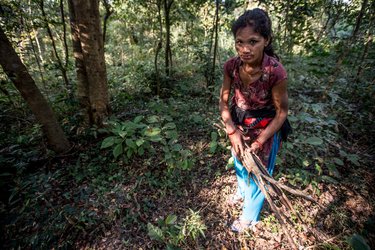 A woman in a forest carrying sticks