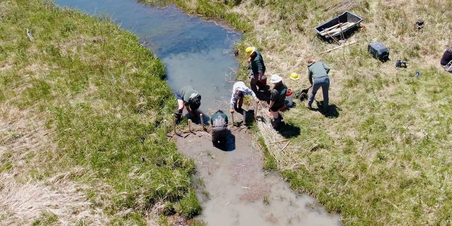 As seen from above, a narrow stream flows through a prairie as a crew builds an artificial beaver dam with willow branches and posts across the water.