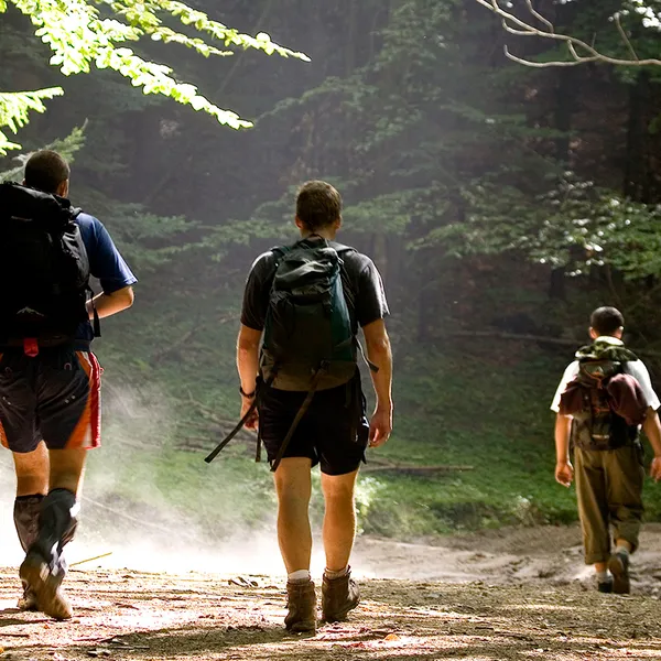 Three people hike on a brown dirt trail under tall green trees