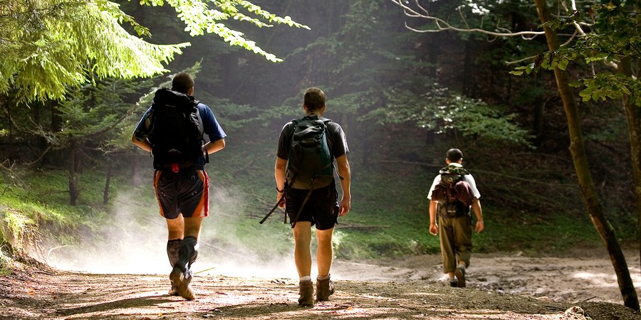 Three people hike on a brown dirt trail under tall green trees