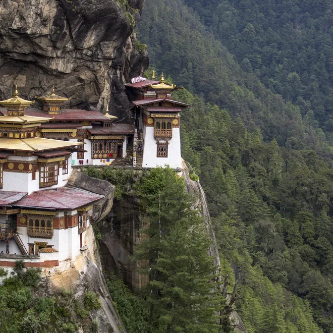 Building perched on the side of a tree covered mountain