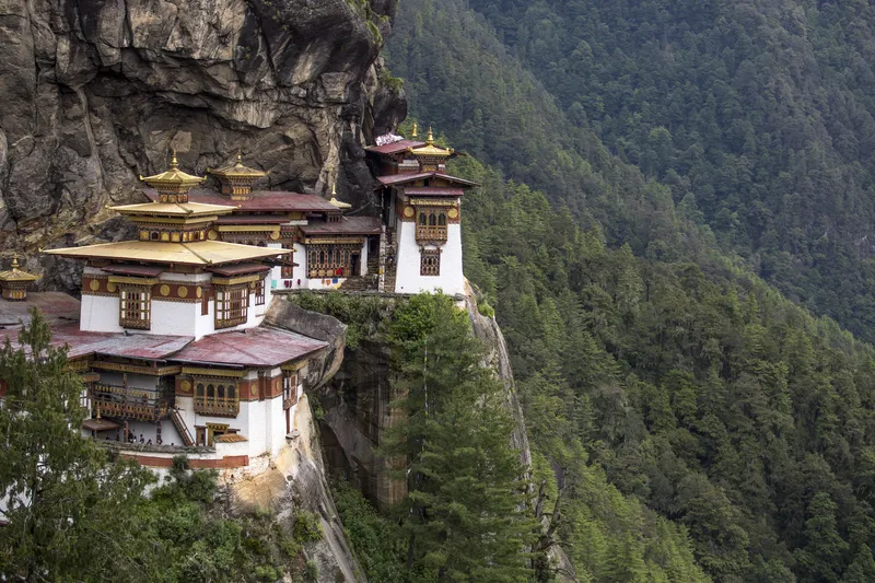 Building perched on the side of a tree covered mountain